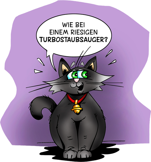 Die schwarze Katze MauMau sitzt vor einem lilafarbenem Hintergrund