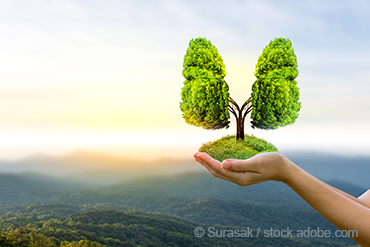 Ein Baum in Form einer grünen Lunge steht auf einer Frauenhand