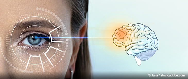 Weibliches Auge und präfrontaler Cortex